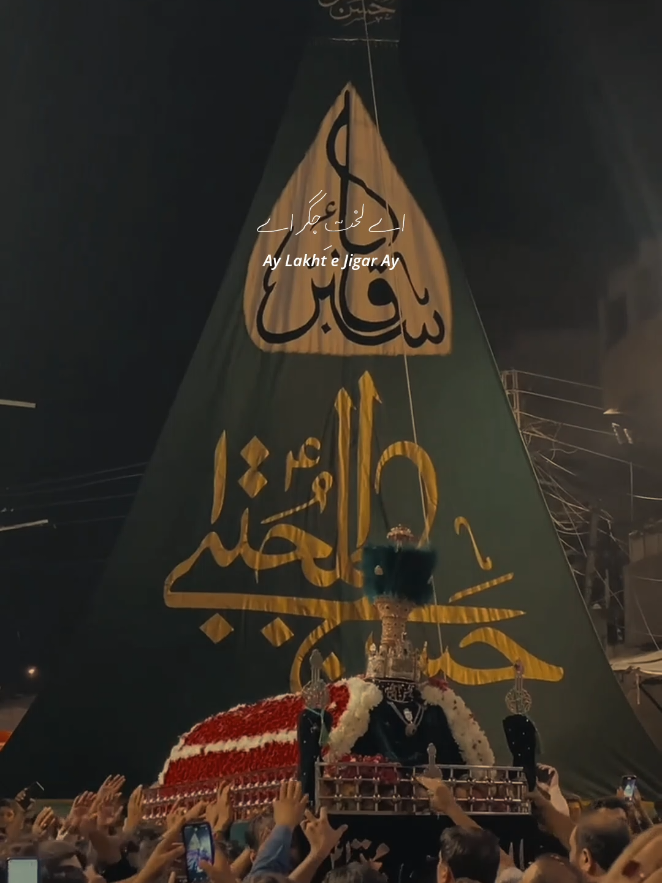 Akeli Hai Zehra (s)💔 . #shahdateimamhassanع #molahassanع #imamhassanع #28thsafar #mourning 
