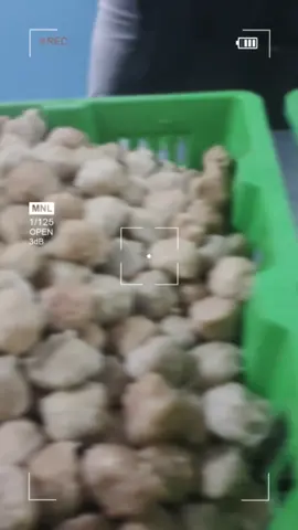 today 21/08/25 bihun bakso ayam#foryoupage #viral #makangeratis #mbg 