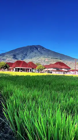 Bukan lukisan…..!#fypage #fypgakni #fypminang #sumbar #banuhampu 