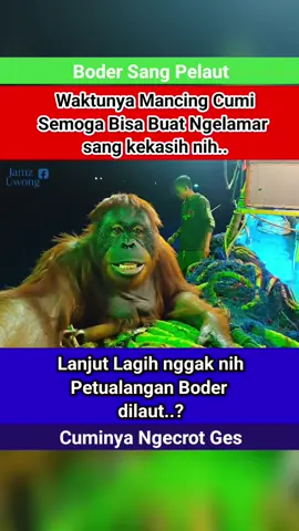 kali ini si Boder sedang mancing cumi buat modal nikah katanya, GK peduli wajahnya hitam kena tinta cumi .... 😁😁😁 yang penting Cuan gays ..!!!!!  #komedi #nelayan #fyp  #lawak #viraltiktok 