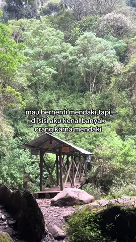#fypage #masukberanda #pendakigunung #pendakiindonesia 