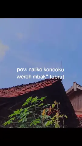 we duso cong🗿🥹#masukberanda #tuban24jam #trending #fyp #pov 