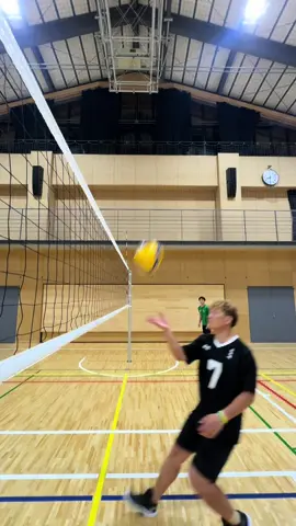 全国マスターズまであと少し🤏#wisteria #バレーボール #fyp #haikyu #fypシ @たつ🐉👶🏻🏐 @ゆうにゃん🐔🐾【volleyball】 @なおや🦩✌️ @みゆ🐰ྀི🤍 @けいる🐱🏐 @ゆの🏐💃 @まりん🌺🏐 @ゆーだい🚨📷 @いちか🐼🏖️ @たかし🐊⚡️ 