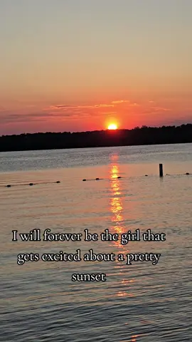 chasing sunsets #sunset #beach #fyp #fypシ #wisconsin 