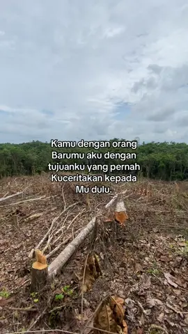 👌🏻😌#petanimuda#storysawit🌴🌴kalimantan 