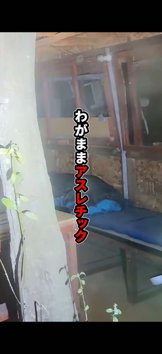 わがままアスレチック #心霊 #配信 #もあ様 #廃墟 