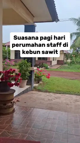 suasana pagi di perumahan kebun sawit #kehidupankebunsawit #fypdong 