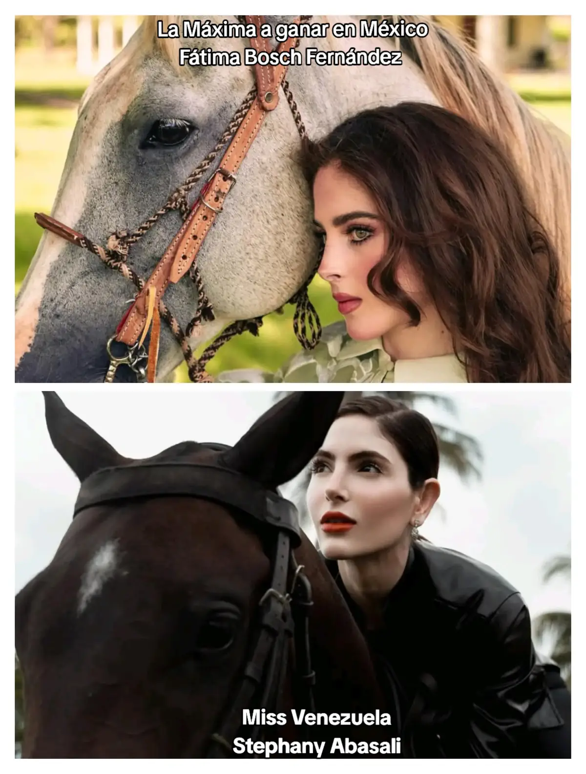 #fatimabosch #stephanyabasali #misstabasco #missuniversemexico #missvenezuela 
