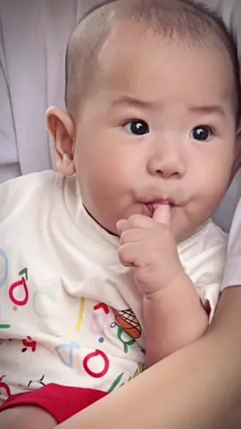 Hello các cô chú🥰🥰#beyeu #dinosaur 