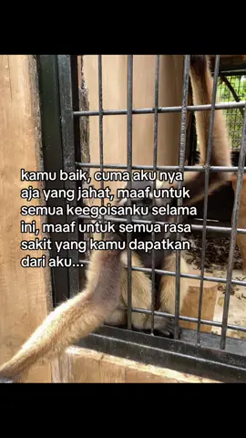 😅