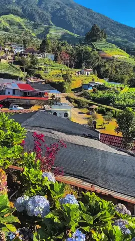 📍Kaliangkrik, Magelang Udara sejuk, pemandangan hijau, dan suasana damai — surga kecil di lereng gunung,🍃 🌱 Alam mengajarkan kita untuk sederhana, tenang, dan selalu bersyukur.🤩 yuk buruan cobain sensasi keindahannya bersama kami 😉📲 . . . #magelang24jam #pemandanganalam #wisatamagelang #fypシ゚ #gunungsumbing 