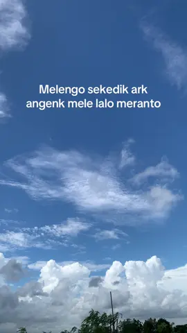 Angenk doang lgk😂#sasakvirallombok🥀 #fyppppppppppppppppppppppp #fyp #sasaklombok🌴 #sasak #fypシ゚viral #fyp 