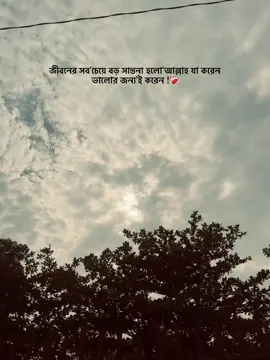 জীবনের সবচেয়ে বড় সান্তনা হলো আল্লাহ য়া করেন ভালোর জন্যই করেন !❤️‍🩹#ohin00000🦋 #biccu🦋 #tiktok #video #vairal 