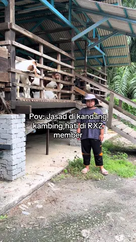 😔#28safar #safar2025 #kambing #fypviral 