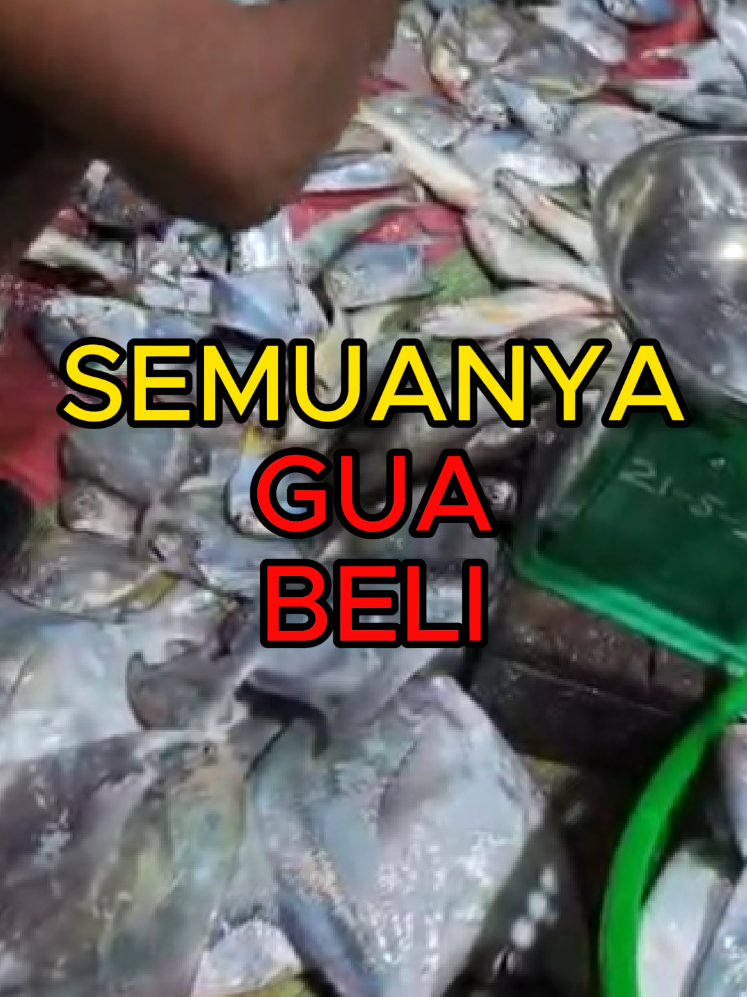 Kapanpun, dimanapun, berapapun ikan fresh yang kalian punya, SEMUANYA gw BELI!  #tembus #berhasil #tonase #udara #china #ikanfresh #bawal #kerapu #tenggiri #layur #ekpansi #perjalananekspor #ekspor #impor #trader #eksportir #trading #bisnis #indonesia #perdagangan #internasional #xlab #asiangproduction