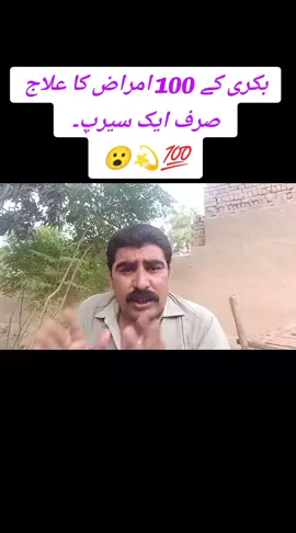 #بکری کے 100 امراض کا علاج  صرف ایک سیرپ#faisal zubair kambo#😮👍💫💯 
