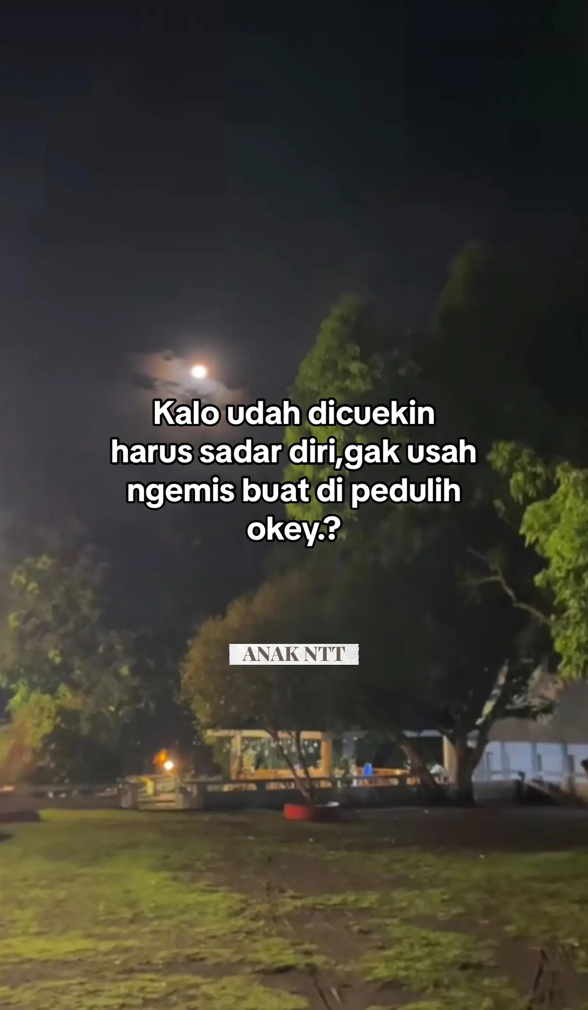 Kalo udah dicuekin harus sadar diri,gak usah ngemis buat di pedulih okey…#ypppppppppppppppppppp #ntt #fyp 