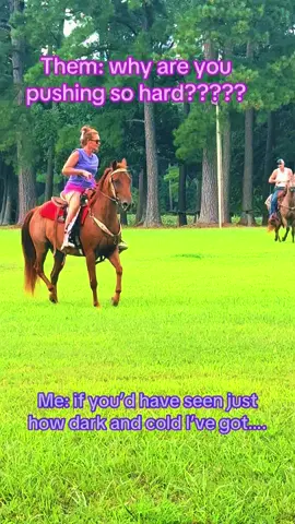 #one #horse #fyp #iykyk #quaterhorse 