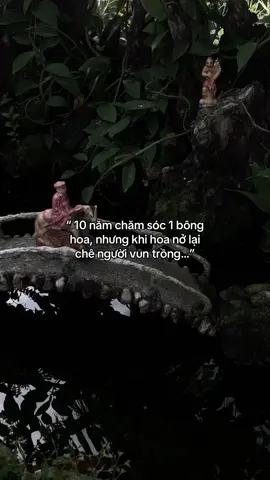 …#tamtrang #story 