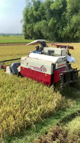 #pangerantimur #pangerantimurgroup #combineharvester #fypシ #bimo102ss #ponorogo24jam #ponorogo 