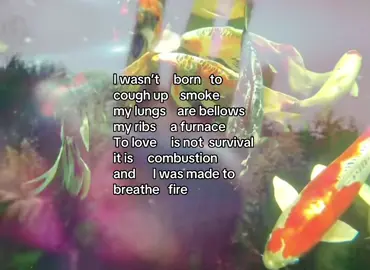burning diet  #fyp #remindmetofeel #poetry 