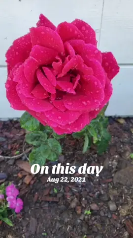 #onthisday 