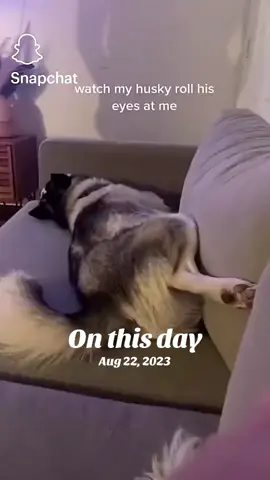 #onthisday 