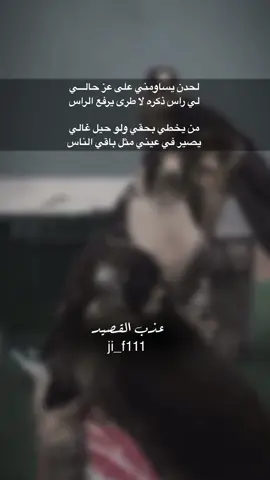#عذب_القصيد #tiktokarab #محمود_الجبلي #قصيد #شعر 