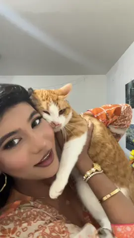 He started scratching me:( #catsoftiktok #cats 