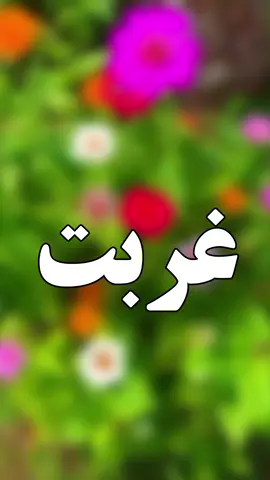 #ساڈی یار جوانی ڈیکھیں ہا💔😓😰🙏🙏#foryou#foryoupage #viral #video #grow #account #trending#videoviral #trendingvideo #saraiki__status #saraiki #saraikipoetry #tredingpoetry #poetrystatus #poetry #سرائیکی #سرائیکی_وسیب #سرائیکی_جنون #plzzzzzzz TikTok don't under view my video💔😓🙏#plzzzzzzzzz TikTok unfreeze my account😰💔🙏@درد 💔 دل2.0 