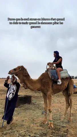 Le Maroc … 🇲🇦 🐫  #maroc #fyp #trend#vacances2025 