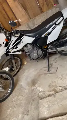 #dale❤️❤️ #tornadoxr250😍 