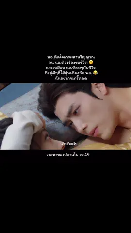 ฉันเขินนนนน ฉันอยากจะกรี๊ด บรรพจารย์ติดใจนางเอก #whendestinybringsthedemon #วาสนาของปลาเค็ม #ซีรีย์จีนโบราณ🇨🇳 