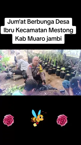 #CapCut Bhabinkamtibmas bersama pemerintahan desa Ibru melaksanakan giat Jum'at berbunga, penanaman bunga hias untuk pembuatan taman desa #zoelmykesmana #Bambangbayususeno #Binmaspmj#herisupriawan04 