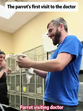 When a parrot meets the vet….#fyp #foryou #parrot #petlove #parrotlove #funny #funnyvideos #fypage #funnyparrot #funnytiktok #parrots 