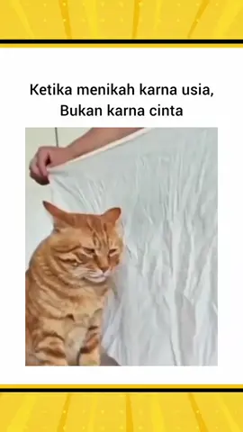 Terpaksa