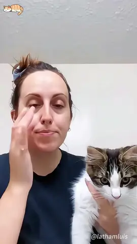 Cats like to imitate their mistresses #cats #catsoftiktok #catlover #funny #funnyvideos #foryou #fypage funnycat #funnytiktok