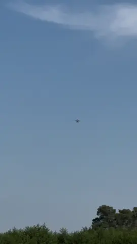 #flypシ 
