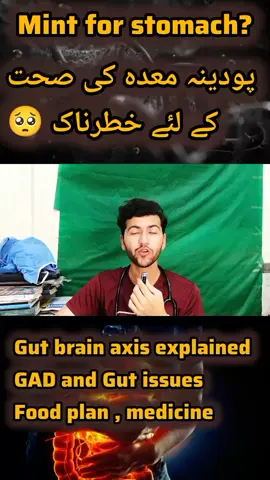 please 🥺 stop Mint for Stomach Acidity,GERD or Stomach ulcer  Mint benefits in IBS mint side effects 😞  #GutHealth #stomachproblems #stomachacidity #gerdanxiety #health 