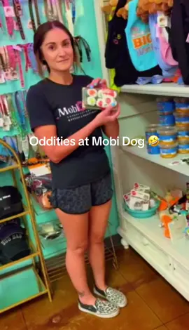 You might just find anything here 🤪#mobidogspa254 #groomertiktok #templetx #thingsthatnakesense 