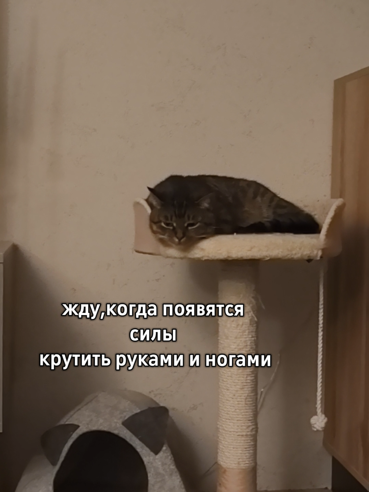 Жду,соскучился по танцам 🙁 #fyp #foryou #рекомендации 