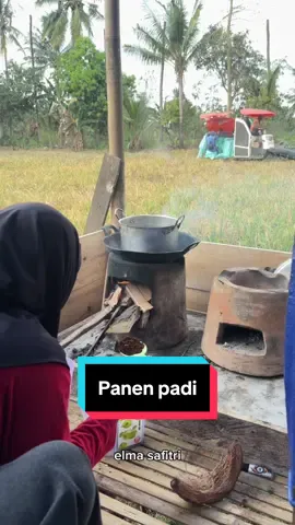 Setelah panen dapur terpal ku lebih keliatan wkwk . #adayinmylife 