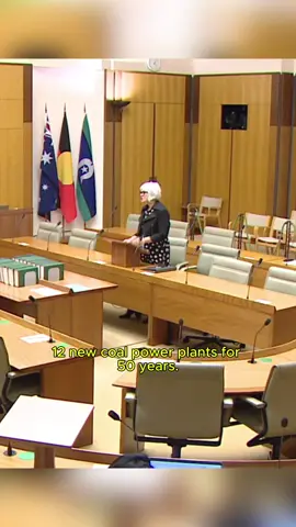 The Labor Government has shown they care more about supporting big corporations than they do about life on this planet and future generations. We don't need new coal and gas, and we can't afford it. Let's keep fighting until we win a safe future for all of us.  #climatecrisis #endcoalandgas #thegreens #fyp #auspol 