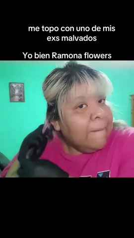 #aimep3 #olageis #ramonaflowers #parati 