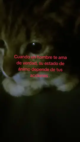 #desinteres #desamor #textorojo #amor #sueño 