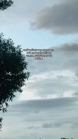 #viralvideo #foryou 