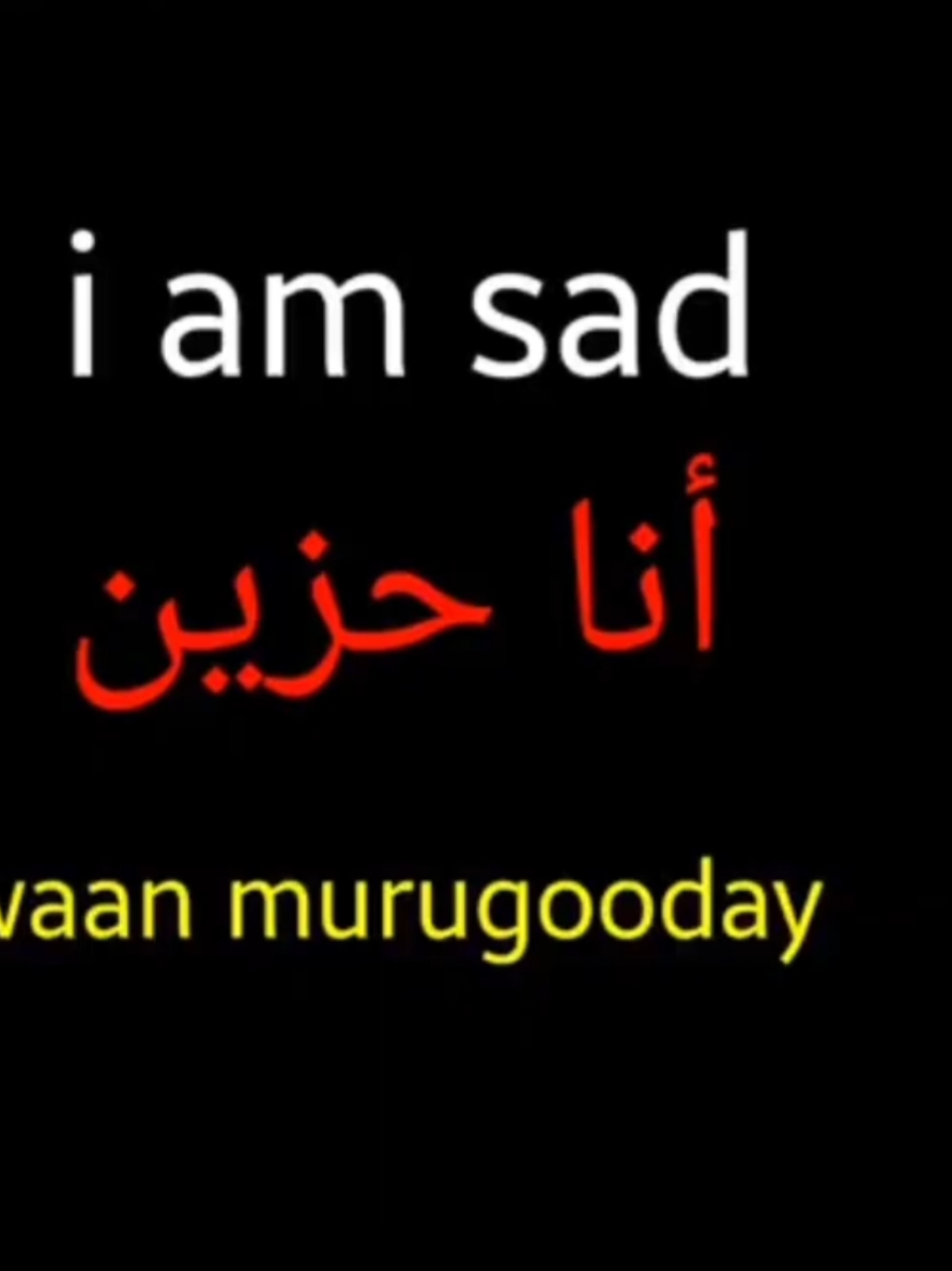 Barashada Luuqada English Jumlado Carabi to English Verbs Episote // 1 #fyp #fouryoupage #somalitiktok #creatorsearchinsights #viral 