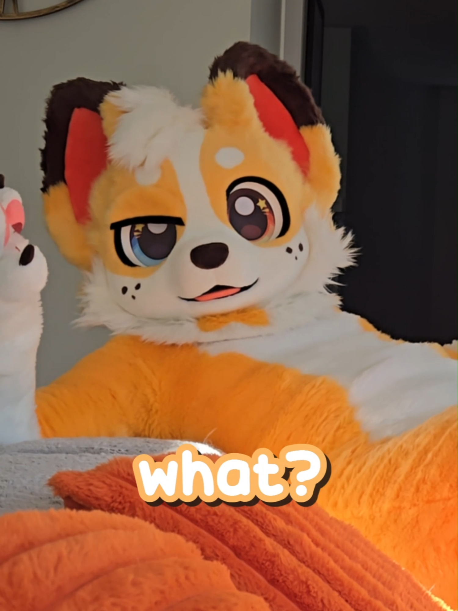 The one thing dogs don't want you to know 🐶 #vtuber #vtube  #furry #twitchstreamer #furrytiktok #twitch #highlights #furries #corgi  #corgicam #comedy #funny #viral #dog #streamer #facereveal #fursuit  #fursuiter #fursuiting #secret #fursuitersoftiktok