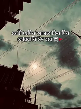 #Caption_Mafia 