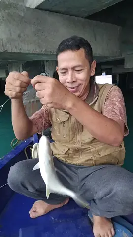 mancing di bawah pelabuhan memang sayangnya ikan #mancing #ikan #foryoupage❤️❤️ 